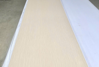 Nano RS819